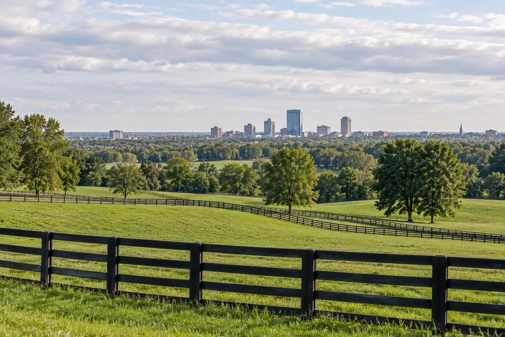 Black plank fencing across Bluegrass pasture with the Lexington skyline beyond